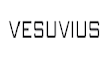 Vesuvius&amp;Foseco